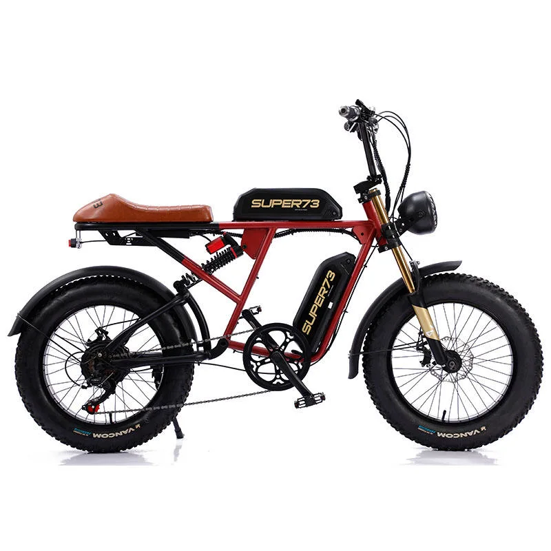 Cheap Full Suspension Retro Vintage E Bike Ebike Dirt Mountain Fat Tire Bicycle Electric Bike