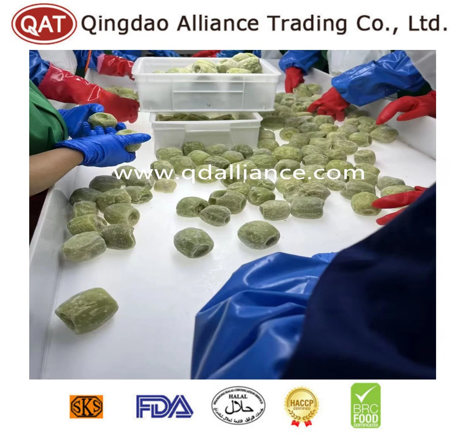 Wholesale/Supplier Bulk IQF Fruits Frozen Whole Kiwi for Exporting with Certificate