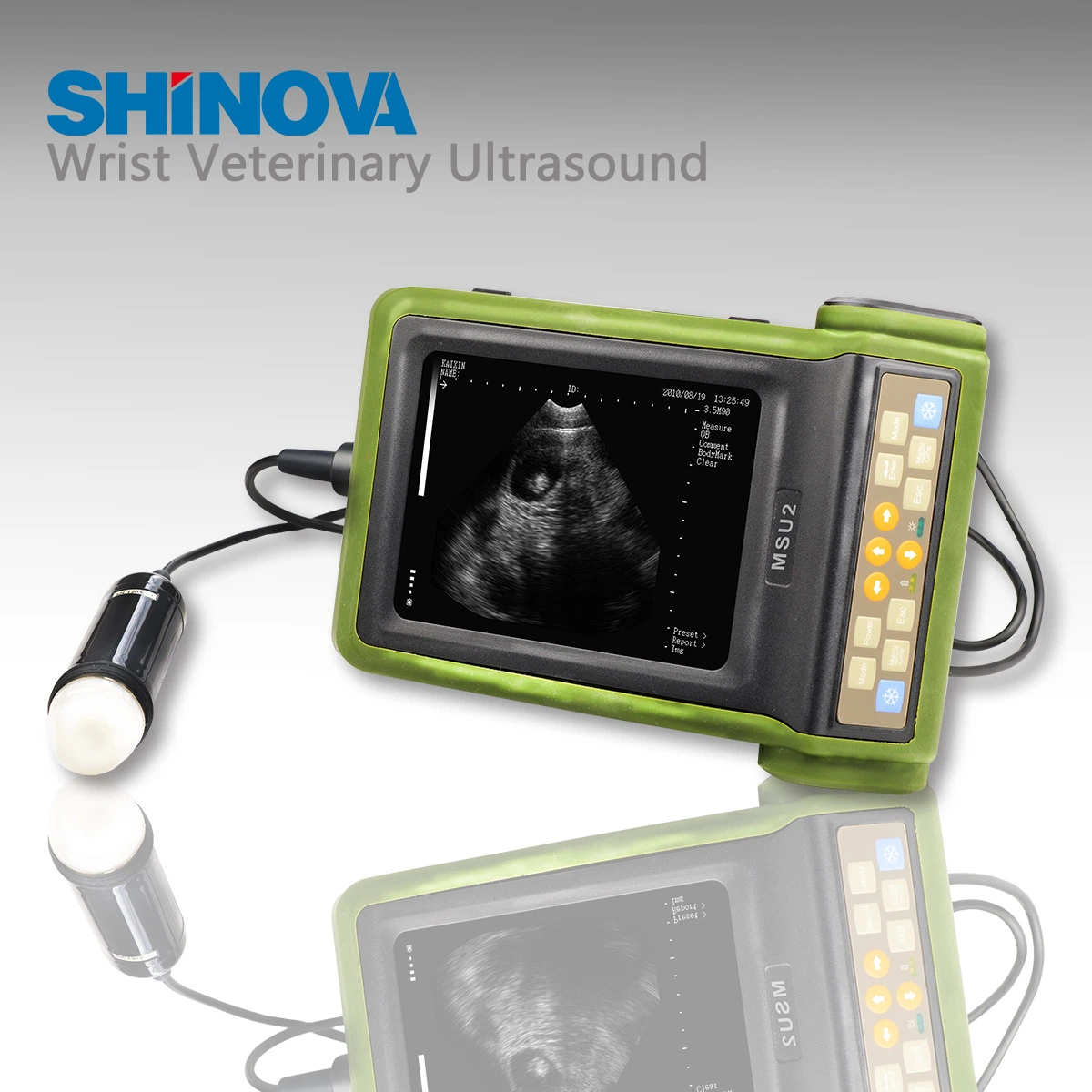 Vet Digital B-Mode Ultrasound Scanner for Animal (MSU2)