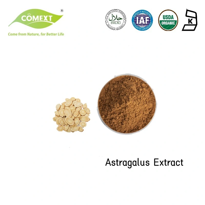 Extracto de hierbas de muestra gratuita de Comext mejor precio un 5% Astragaloside puro natural Extracto de astrágalo