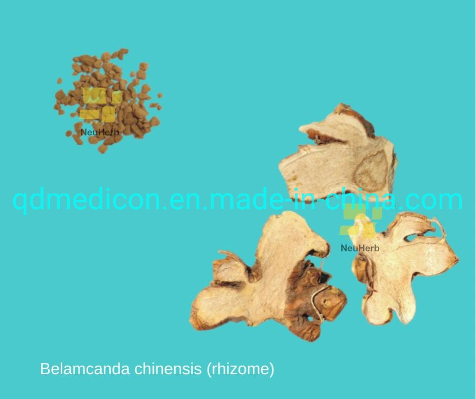 Chrysanthemum indicum (capitulum) Las materias primas tradicionales preparados a base de hierbas Las hierbas medicinales chinas Virus