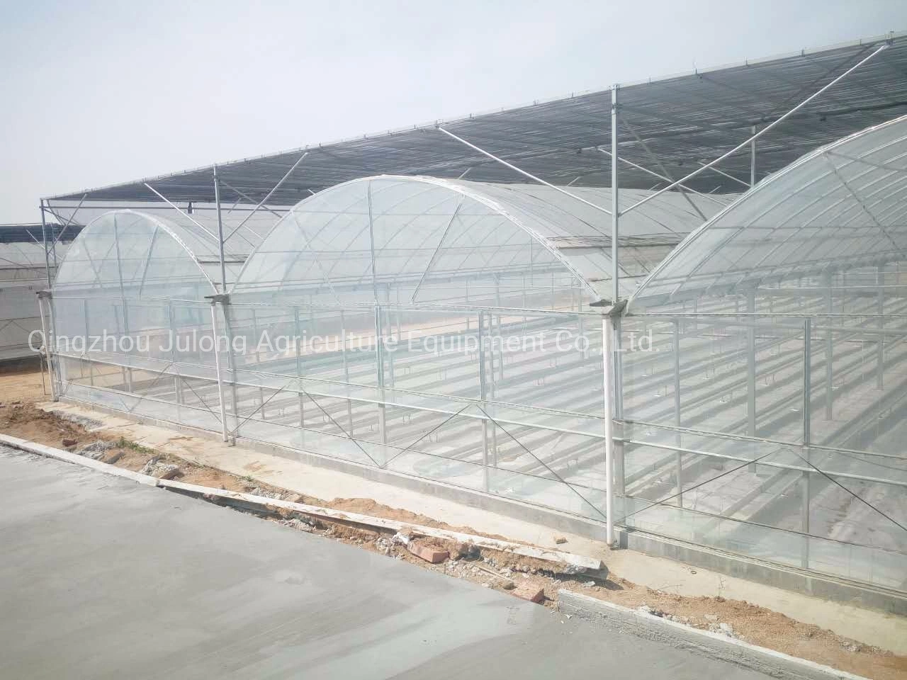 Multi-Span Plastic Film Tunnel Greenhouse Vegetables Hydroponics Growing System for Sale
