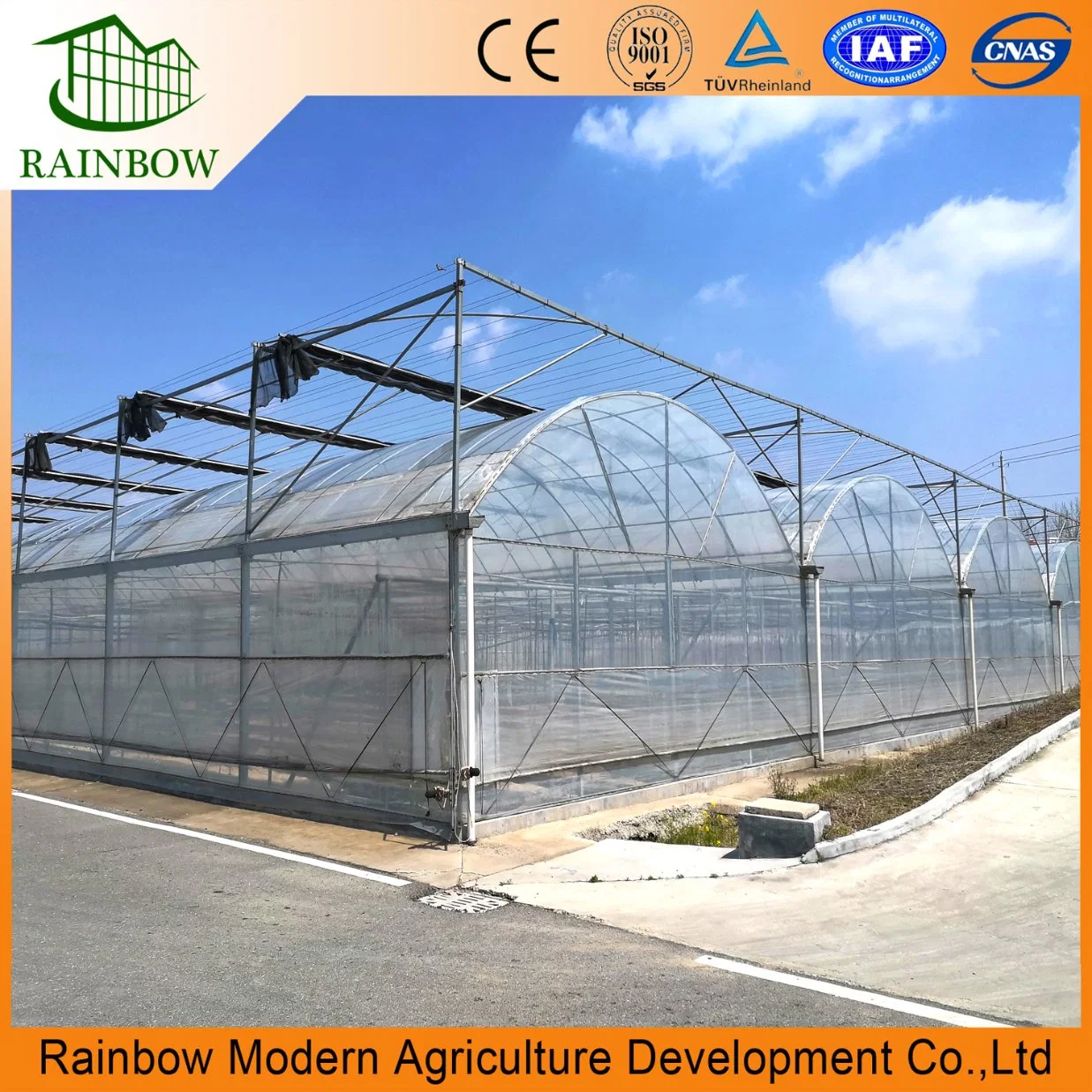 Multi-Span Poly Tunnel Film Greenhouse with Cooling System