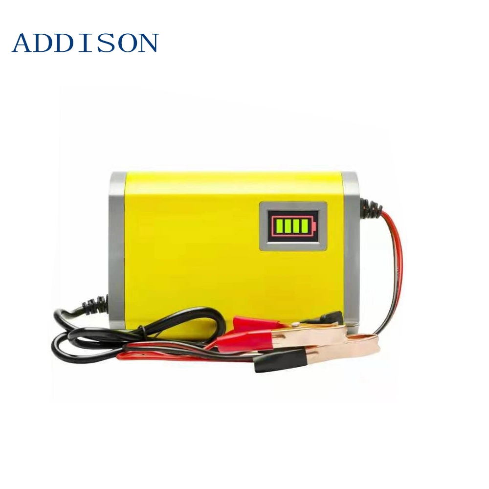 12V Electric Spray Storage Lead Acid Battery Charger for Electrical Bicycle/ Car Battery