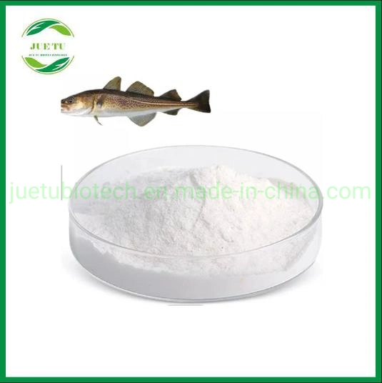 High quality/High cost performance /Fish Collagen /Nutrition Material/Reliable Price/Factory Wholesale/Supplier/Provide Free Sample for Testing/ Insoluble Fibrous Protein