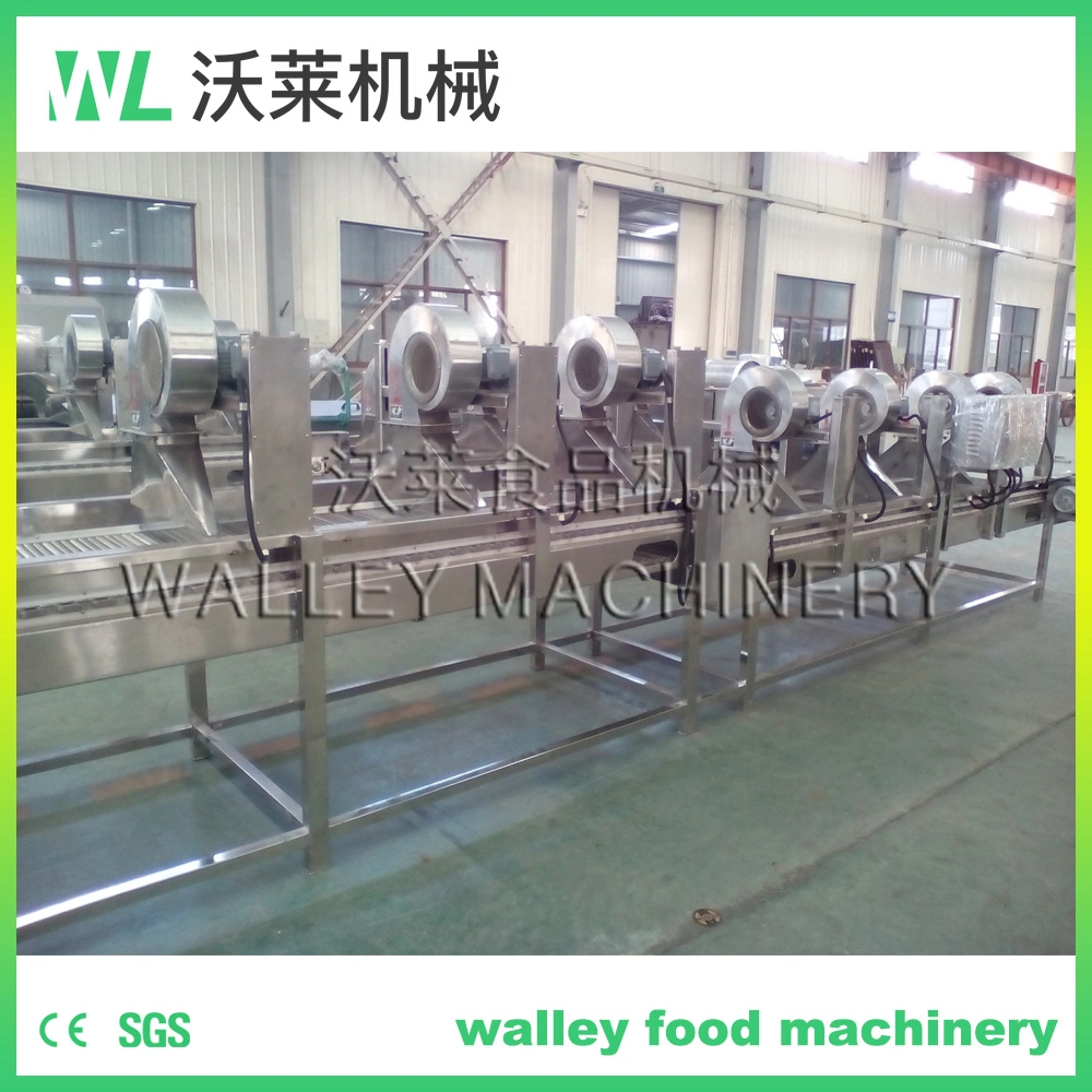 Factory Price Dewatering Equipment for Minimally Process Vegetables and Fruits