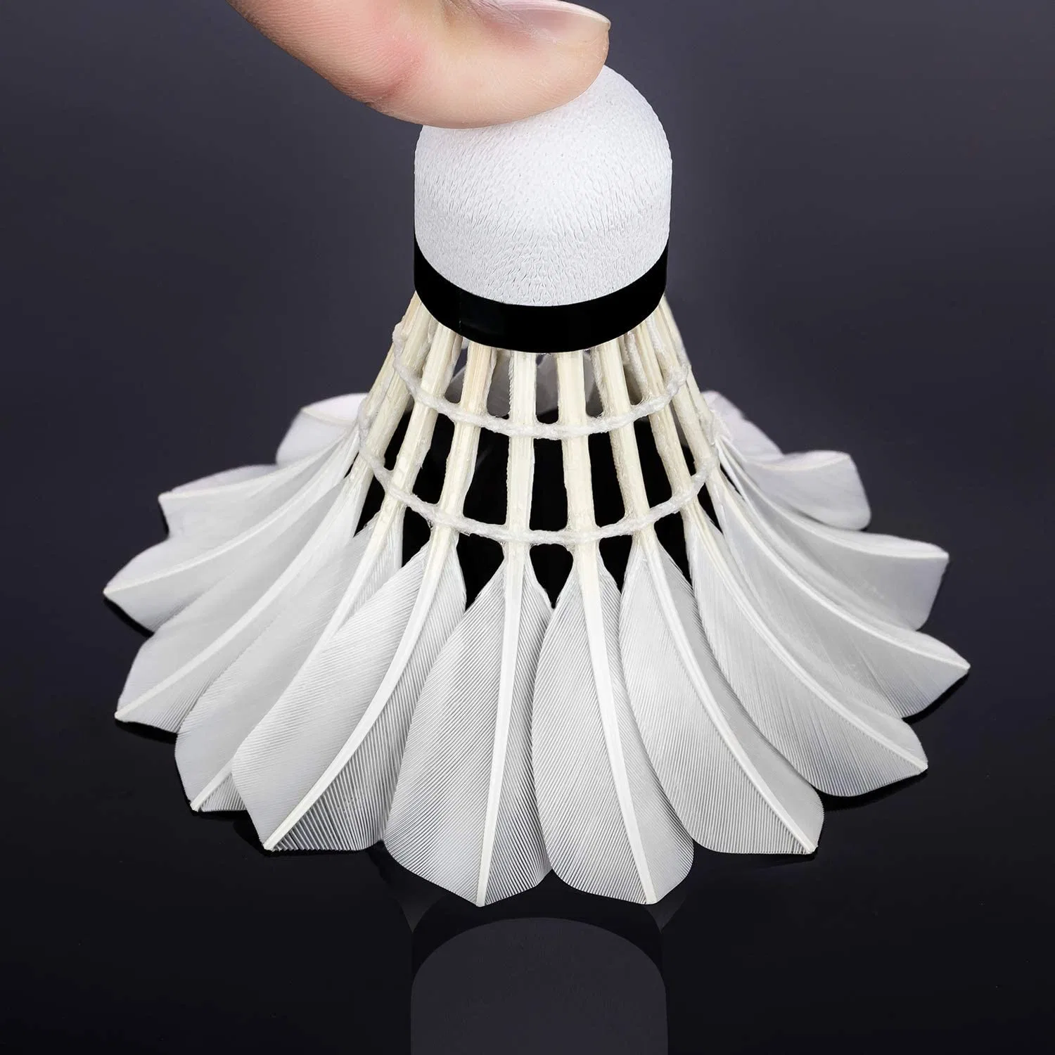 Deportes Badminton resistente Juego profesional de entrenamiento shuttlecock Badminton