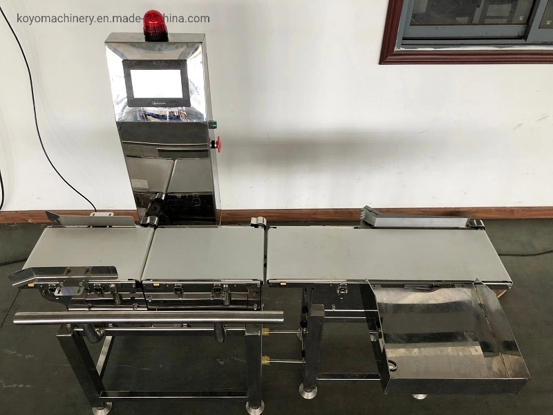 Zx400 Industrial Conveyor Belt Check Weigher/Check Weight Machine/Weight Scale