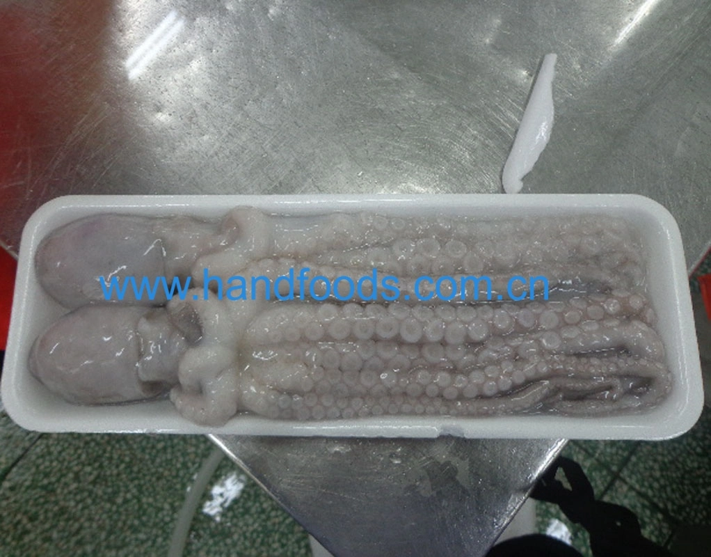 Premium Quality Seafood of Frozen Whiparm Octopus (long-leg)