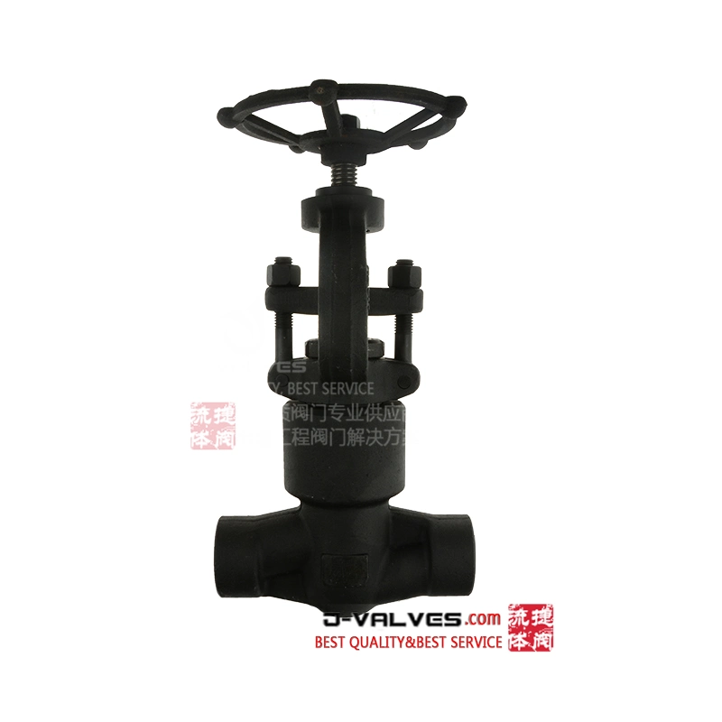 Forged Steel Stainless Socket Welded Globe Valve Tapered Plunger Disc Throttle Needle Type Inflatable/ JIS Snow Globe Valve