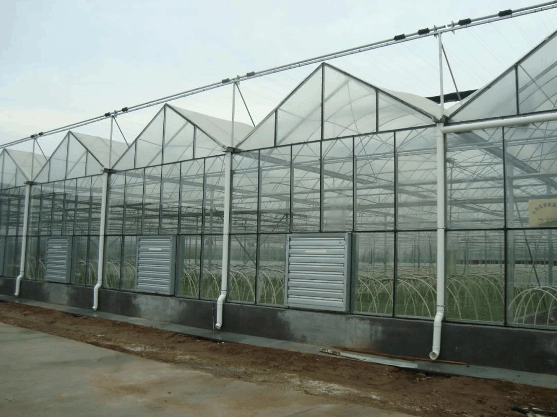Plastic Film Polycarbonate Sheet Glass Covered Greenhouse for Cucumber Leafy Vegetables Flower House Garden Products Hydroponics Growing System