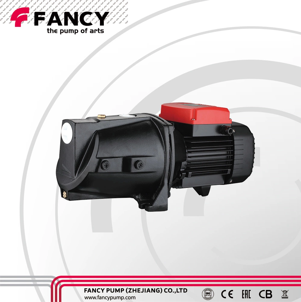 Pompe à eau centrifuge à amorçage automatique de pression du moteur électrique QB de fantaisie