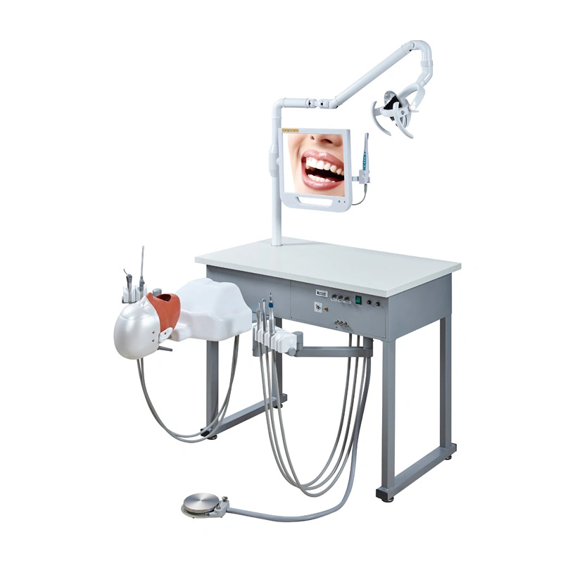 Dental 1 Student Training Single Teaching Manual Control Phantom Simulator