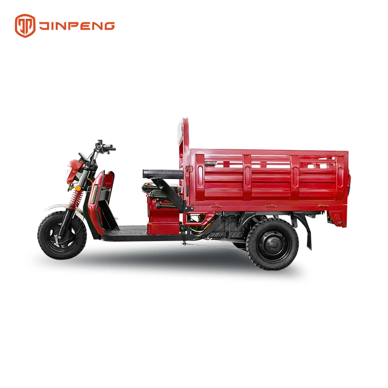 Jinpeng 2023 3wheels 60V1000W Powerful Named Dls-150 Cheap Electric Tricycle for Cargo