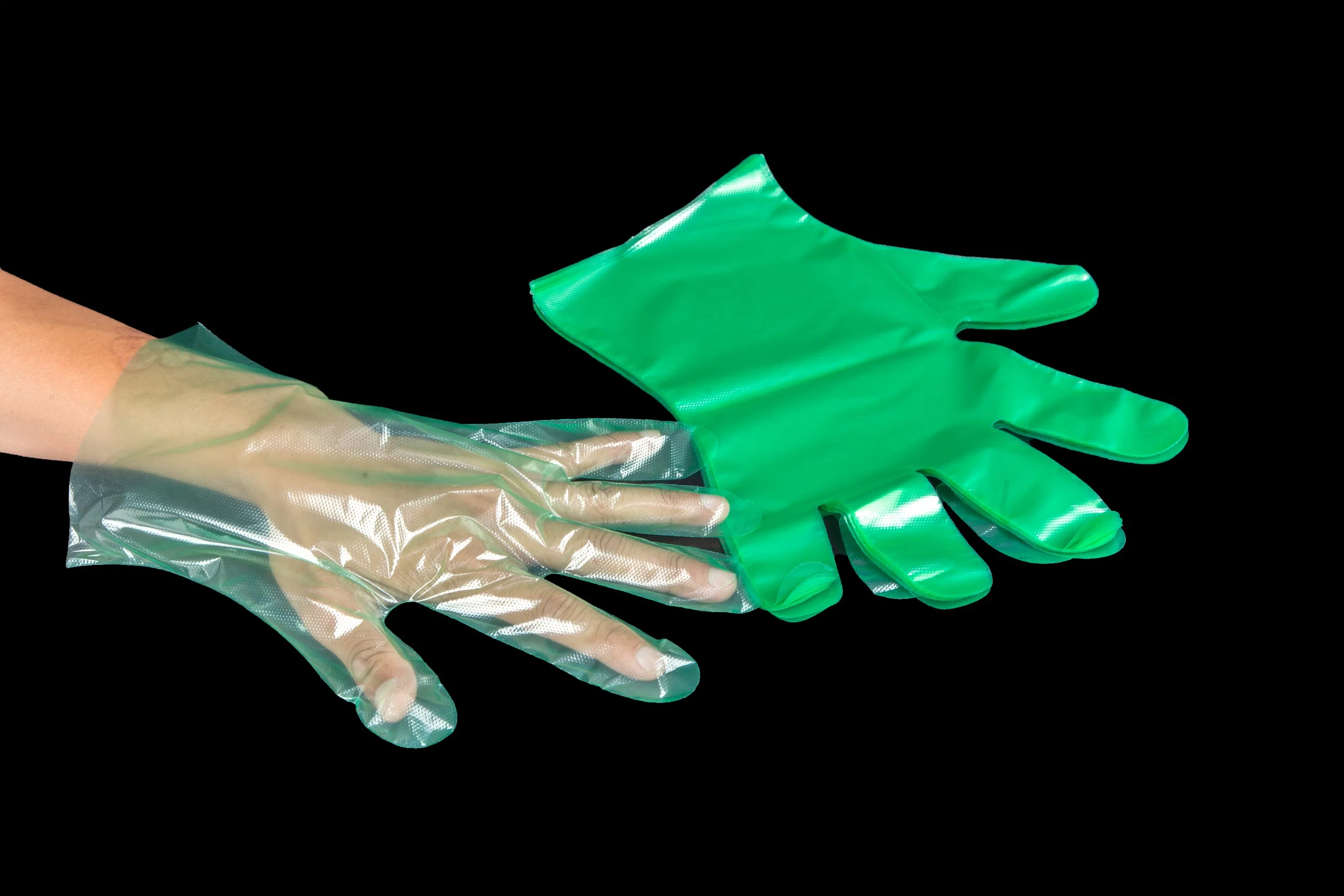 Cleaning Cooking Hair Coloring Disposable HDPE LDPE CPE TPE EVA Plastic Poly PE Gloves