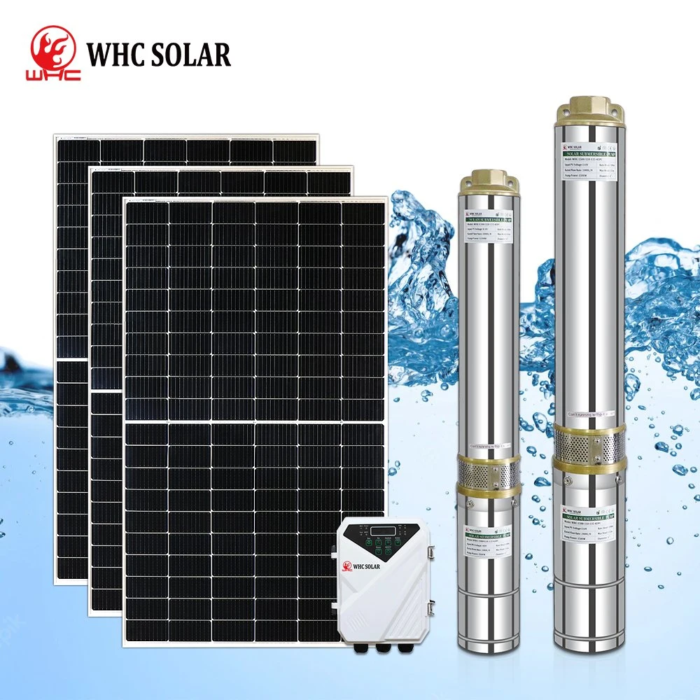 Eau solaire WHC haute pression DC submersible Agriculture irrigation 1100W110V Fabricants de jeux de pompes