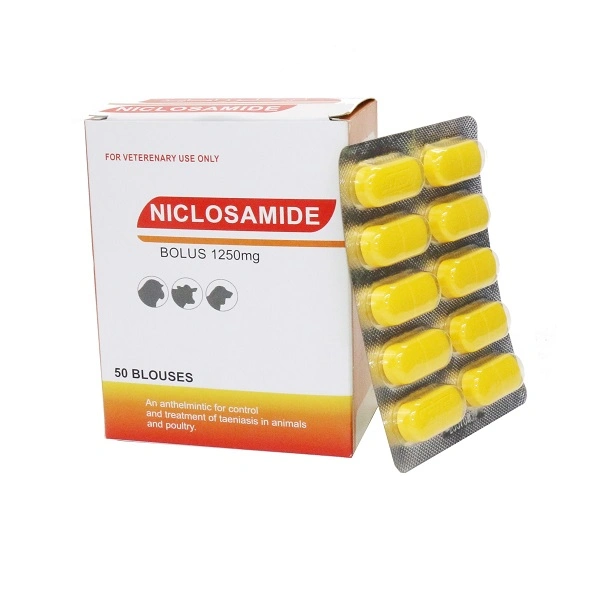 Veterinary Medicine Drugs Wholesale/Supplier Lowest Price1250mg Niclosamide Bolus Best Price GMP Certificate