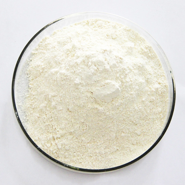 White Garlic Extract Powder 20% 25% Allicin Powder Extract for Aquaculture