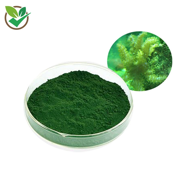 Food Grade Natural Pigment Spirulina Blue Phycocyanin Powder