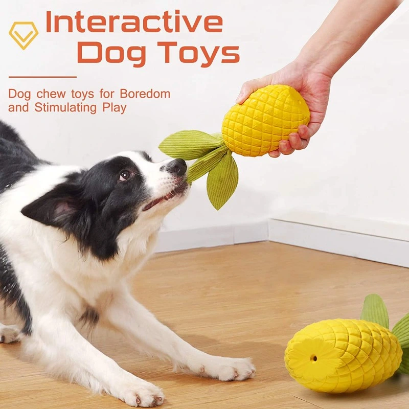 Jouets pour animaux familiers de mâcher des jouets pour chiens durables de petits chiens de taille moyenne et grande
