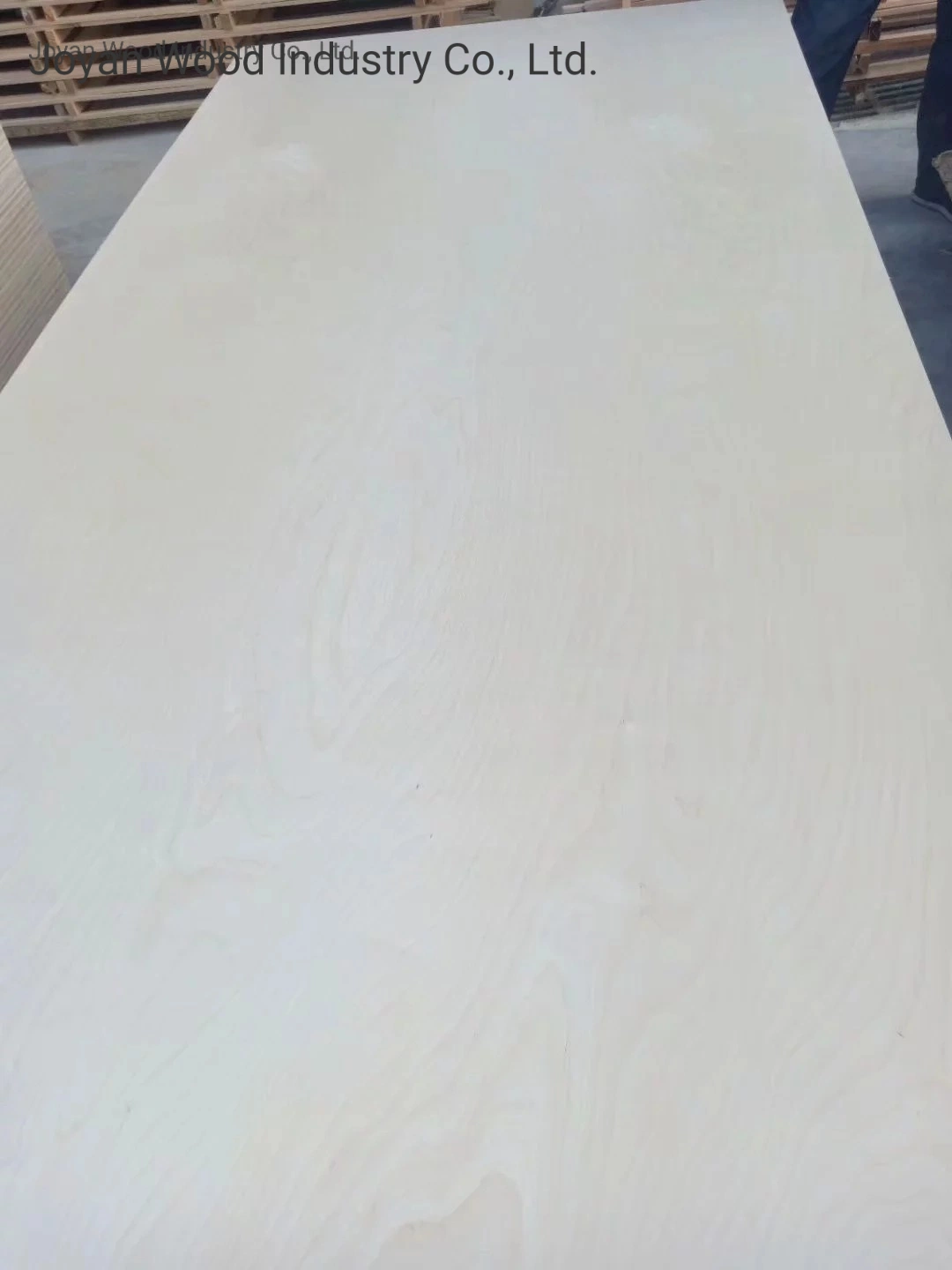 Birch Fancy Veneer MDF 12 mm 15 mm 18 mm móveis/pele da porta