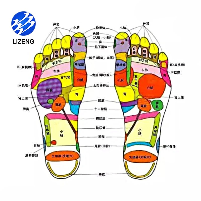 Improve Blood Circulation Acupressure Magnetic Therapy Insoles for Foot Massaging