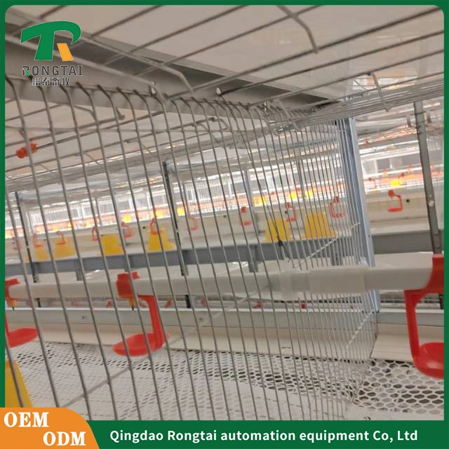 Südafrika heißer Verkauf Layer Broiler Chicken Cage Coop für Chicken Farm