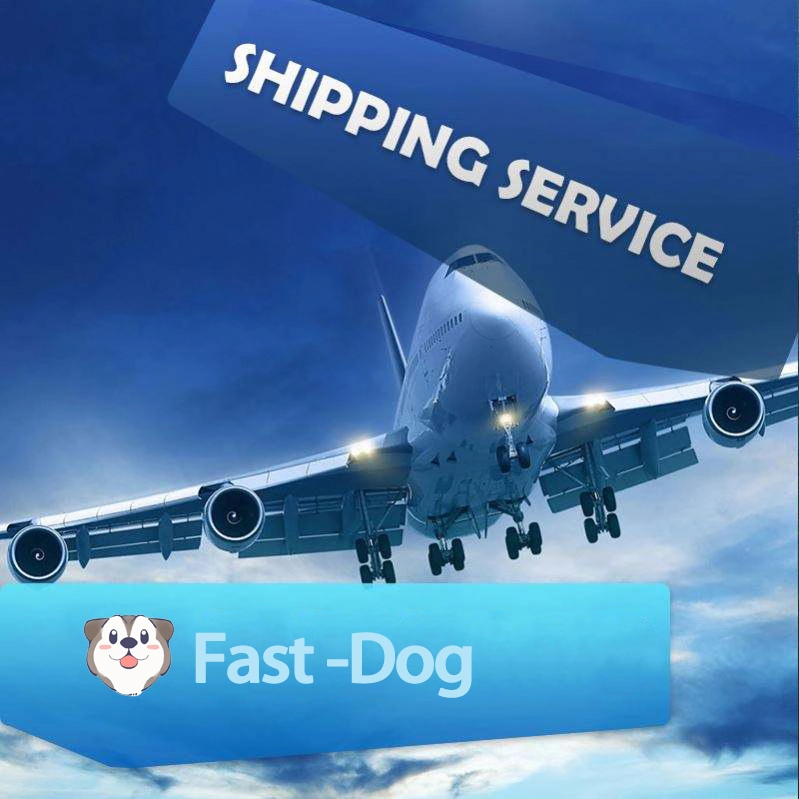 Cheap International DDP Fba DHL Air Freight Rates From Shanghai China to USA UK France Germany Australia