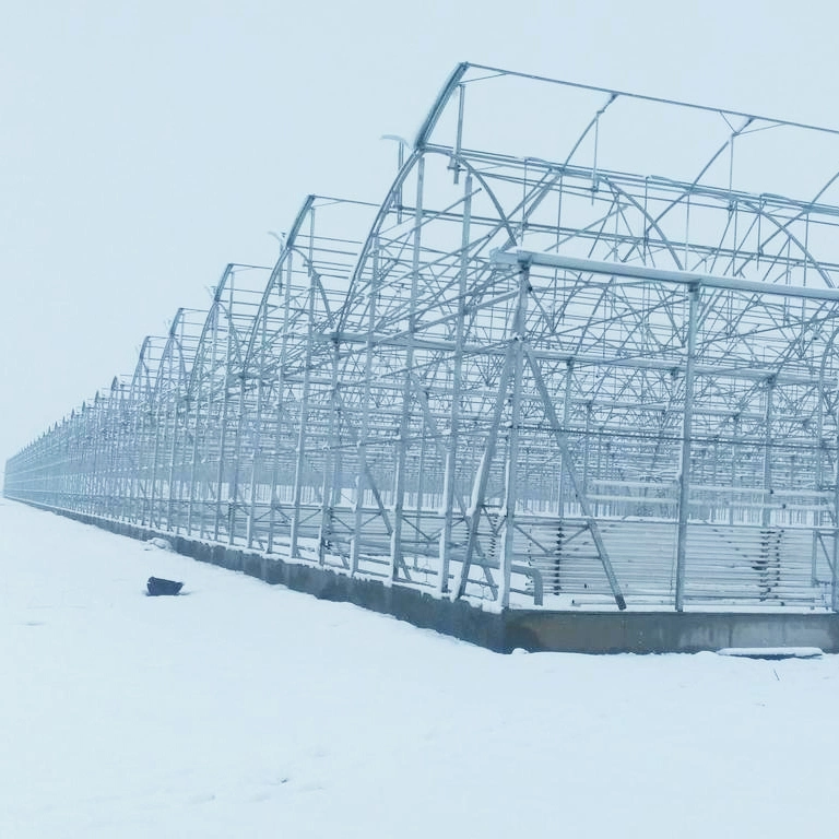 Low Cost Agricultural Plastic Greenhouse with Ventilation System