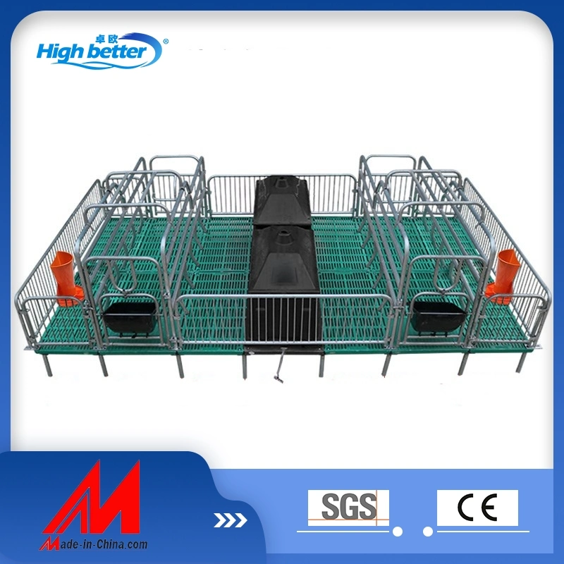 Galvanized Pig Farrowing Crates Pig Flooring Stall Farrowing Bed Sow Equipment for Hot Sale