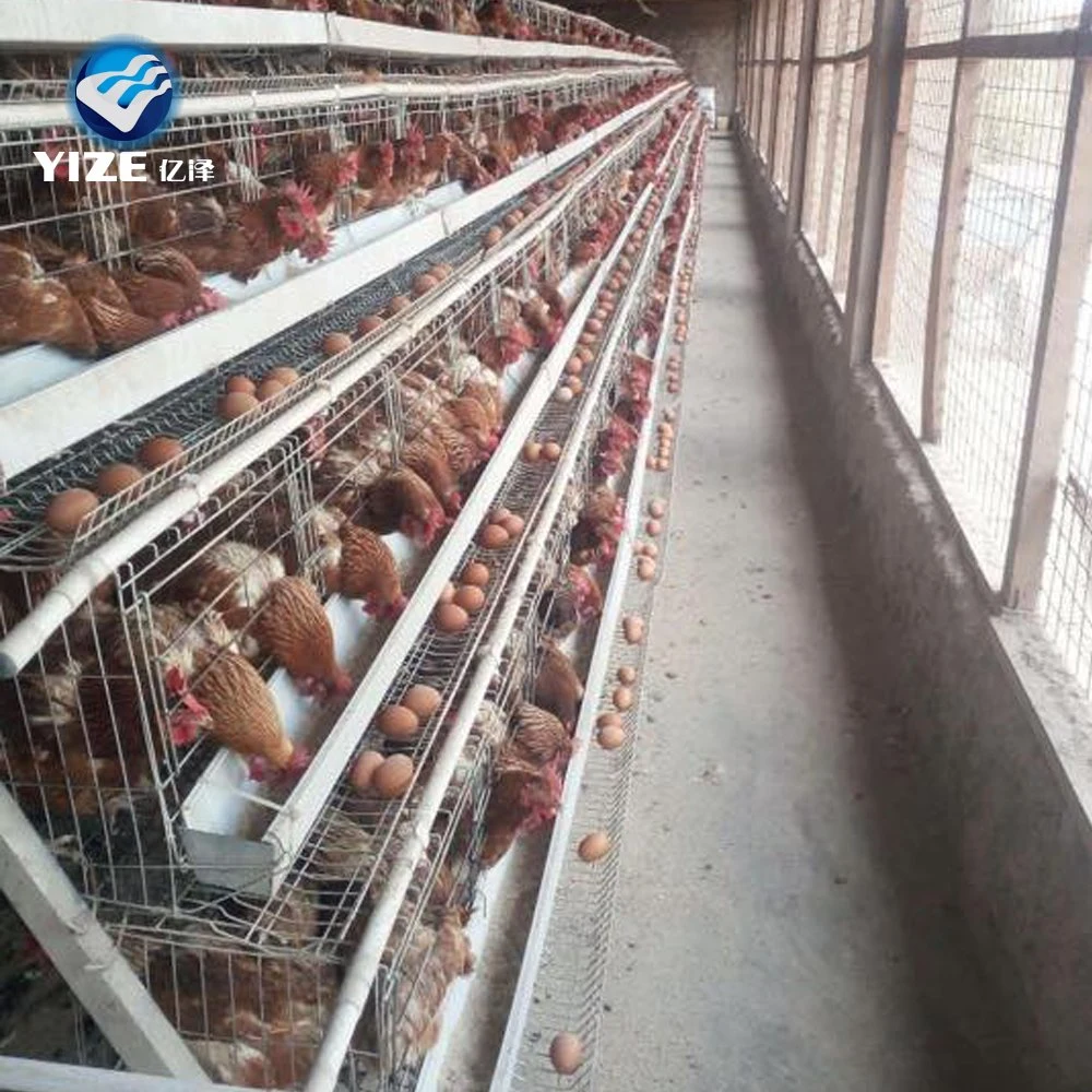 China fábrica Fabricación Venta caliente Gallinero jaula Pet