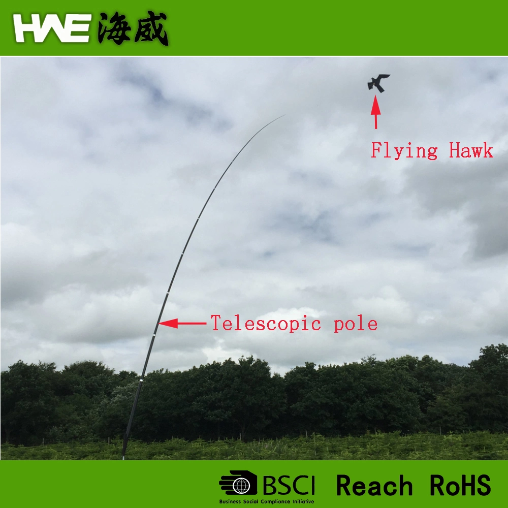 Flying Hawk Kite with Reflective Eyes Bird Repeller