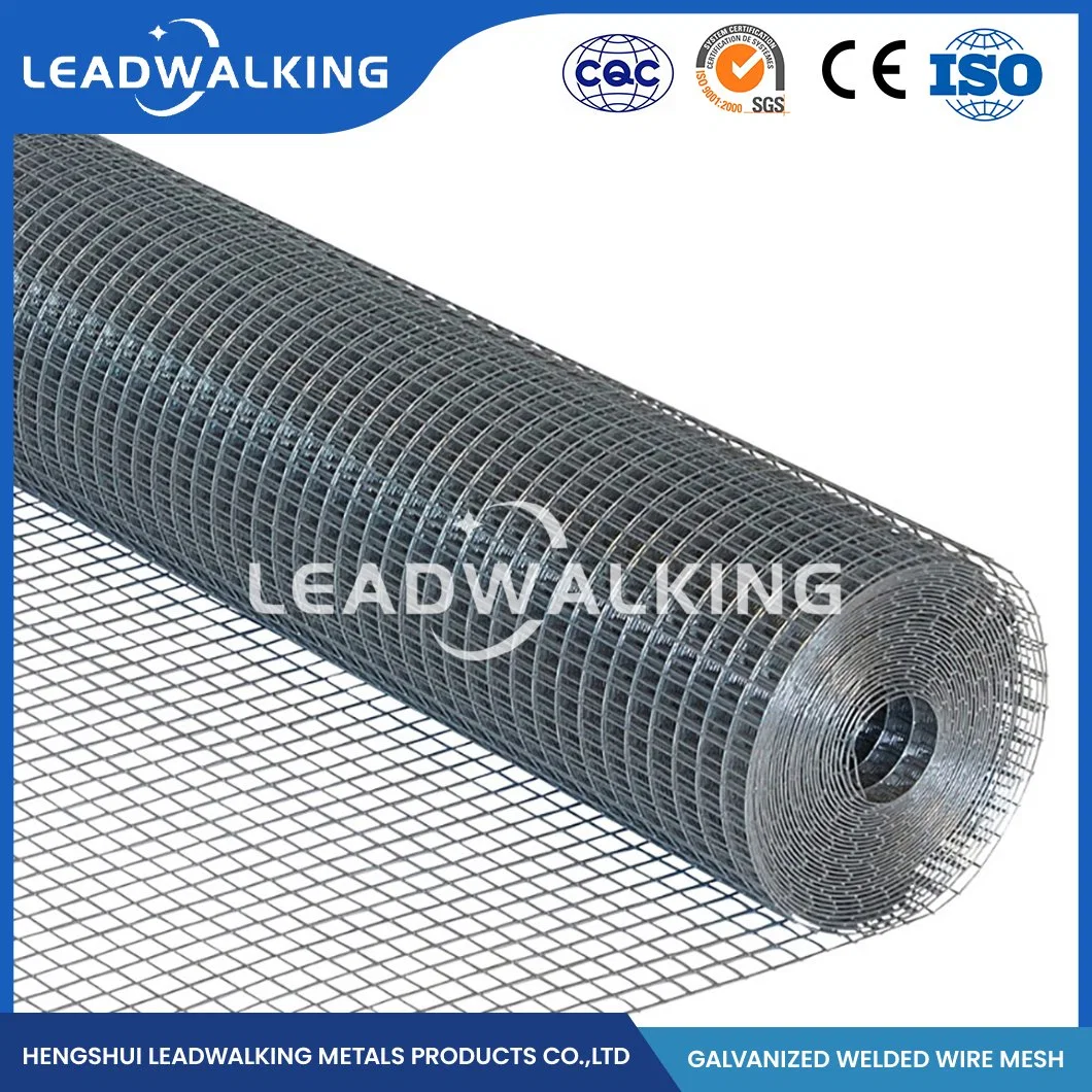 Leadwalking 16 Gauge Weld Mesh Factory OEM Customized Plastic Coated Welded Wire Mesh Roll 2X2 Galvanize China 19.0X19.0mm 1/4 Inch Galvanized Welded Wire Mesh