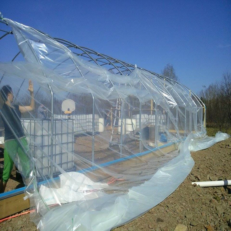 Poly Plastic Panda Film for Reflective Black and White Plastic Sheeting for Hydroponic / Horticultural Growing Film