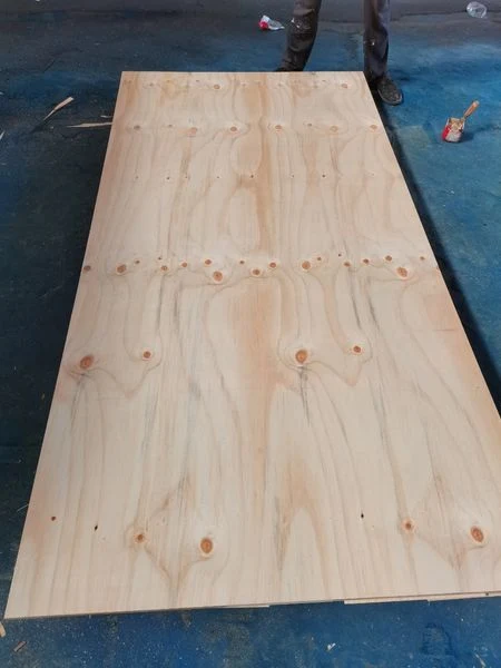 CDX Pine Plywood for Belize Market