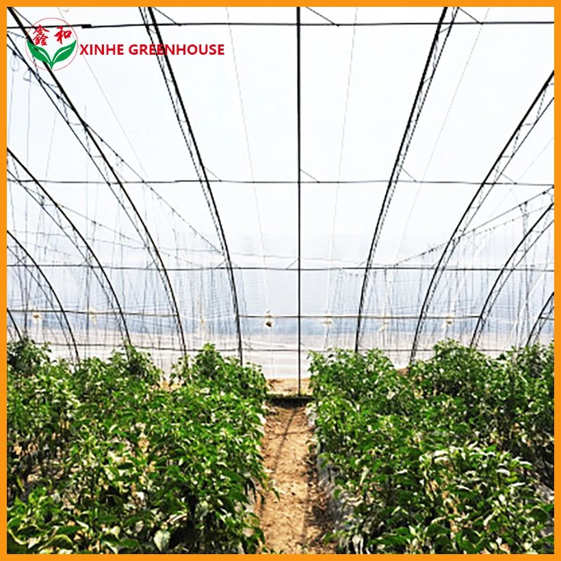 Po Film PE Garden Warm Agro Multi Span Greenhouses