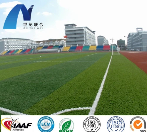 China Langlebige Polyurethan-Kleber Binder Klebstoff Gerichte Sport Oberfläche Bodenbelag Athletic Running Track