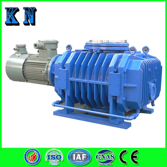 Roots Vacuum Pump for Vacuum Distillation, Concentration, Drying and Other Processes in Food, Chemical, Pharmaceutical, Textile Good Quality and Low Price