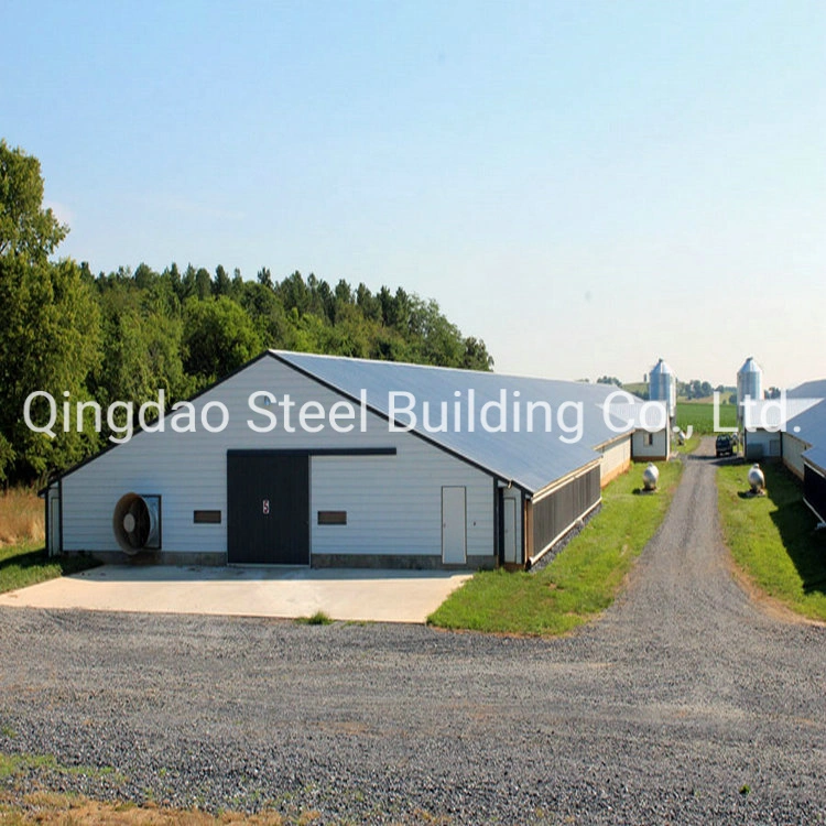 Prefab Light Steel Stucture Chicken Poultry House Shed Building/Steel Structure Poultry Farm House