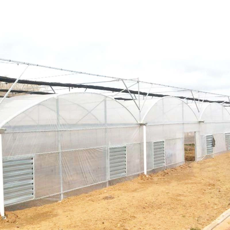 High quality/High cost performance Plastic Film Agro Economic Poly Farm Multi Span Agriculture Greenhouse