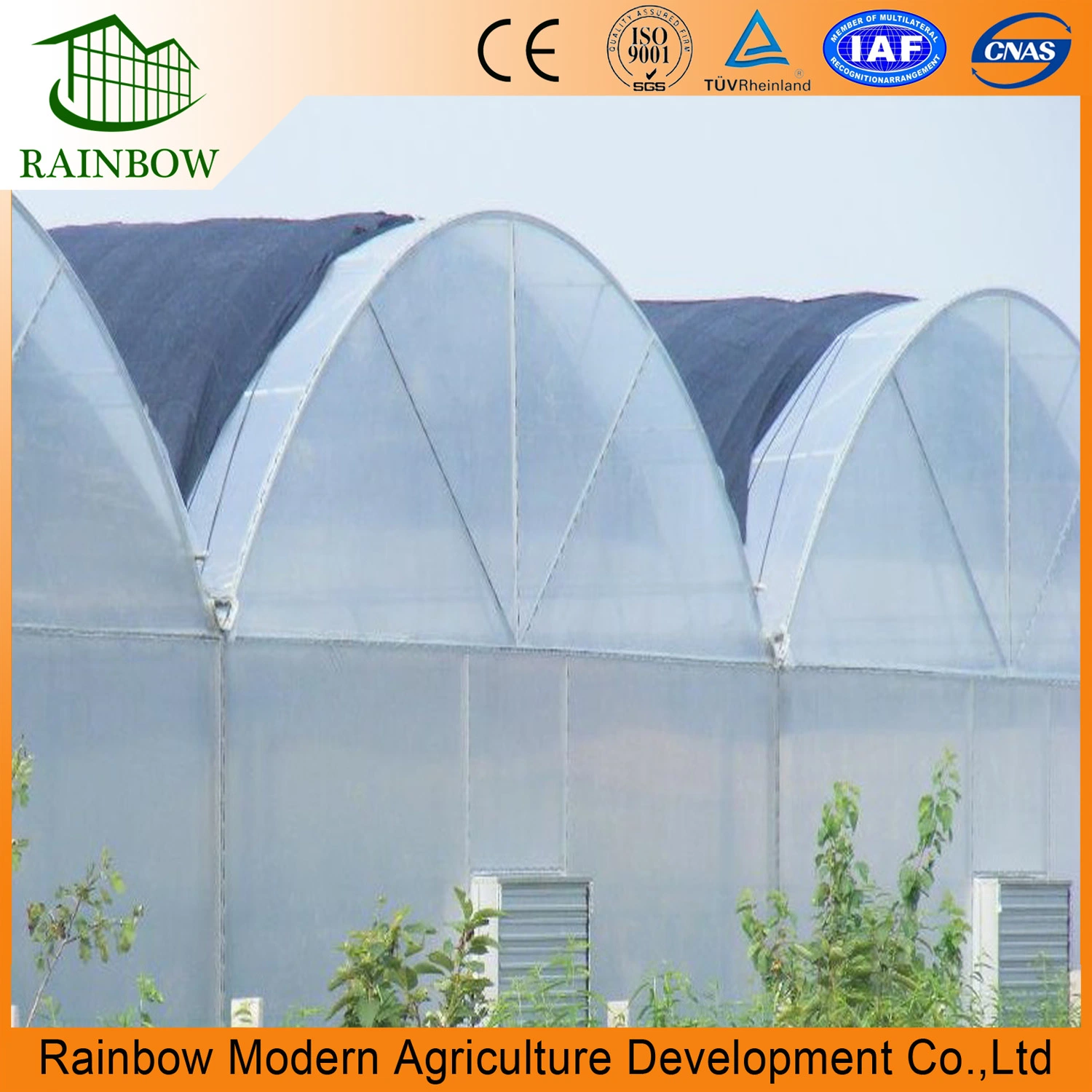 Multispan Poly Greenhouse with Hydroponics