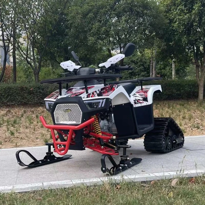 Nouveau 125cc de la plage de la neige en hiver et été ATV