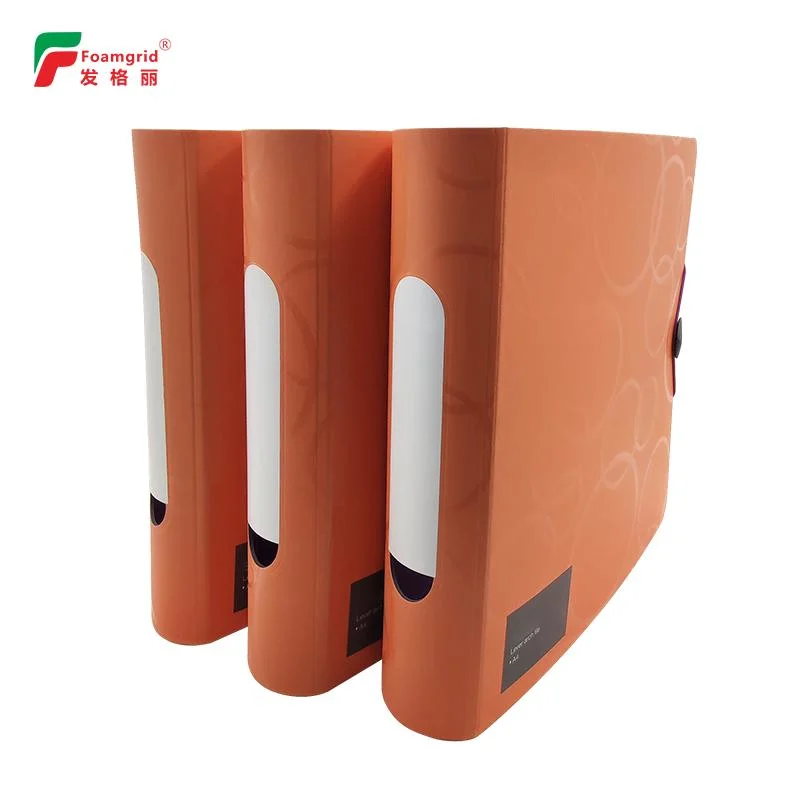 High-Capacity Heavy-Duty Plastic Round Spine Lever Arch Box File Folder with Pocket The Folder-Register File