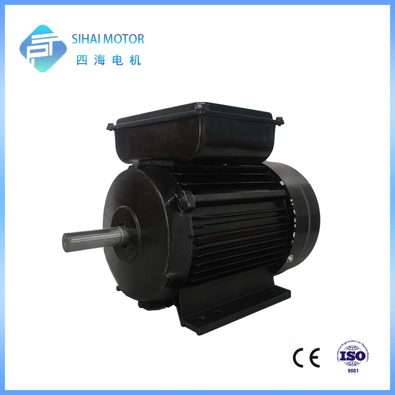 3kw/4HP AC Double/Single Capacitor Induction Electric Single Phase Motor