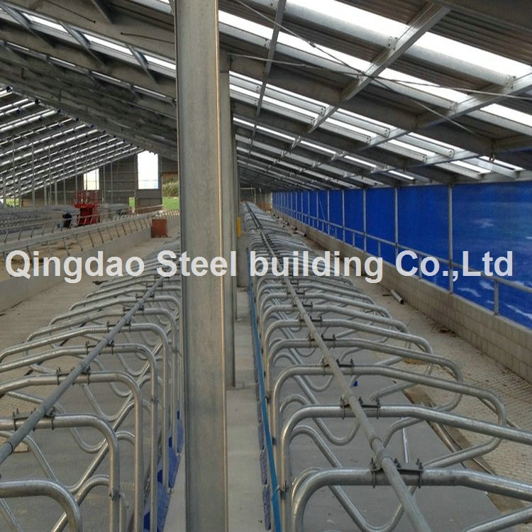 Steel Structure Frame Poultry House Cow Shed Farm Building Dairy Farm Building