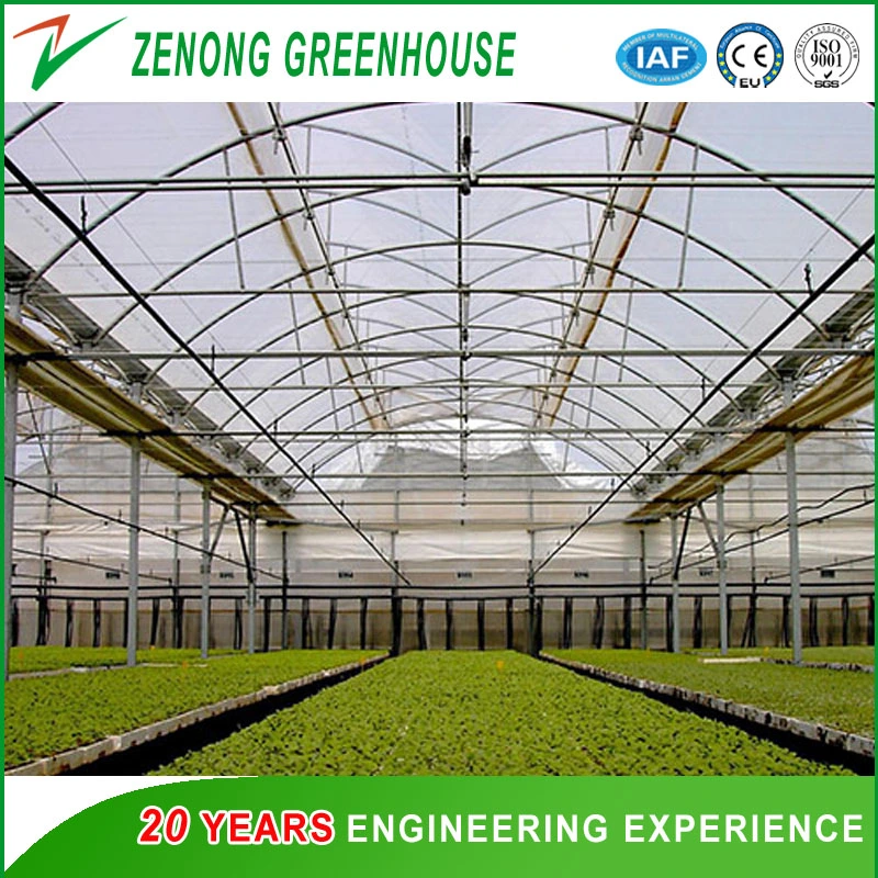 Commercial Greenhouse Poly Film Multi-Span Film Greenhouse for Planting Tomota, Cucumber, Lettuce