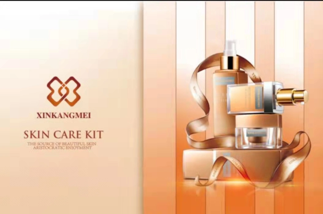 Provide Cosmetics OEM Service Skincare Facial Skin Care Set Beauty Skincare Products