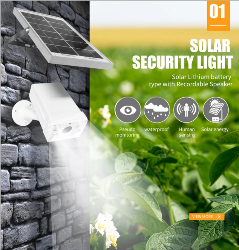 Brilliant-Dragon Outdoor Solar Motion Sensor Monitoring Security Lighting