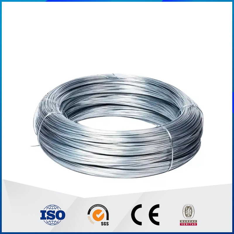 Ms Hot Dipped Galvanized Steel Wire with AISI 1008 1006 0.3mm 2mm 4mm 6.5mm ASTM Custom Gauge in Barbed Wire Electric Cable for Hanger