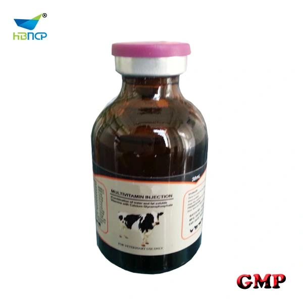 Multivitamin Injection Promote Growth for Animal Use GMP Manufacturer